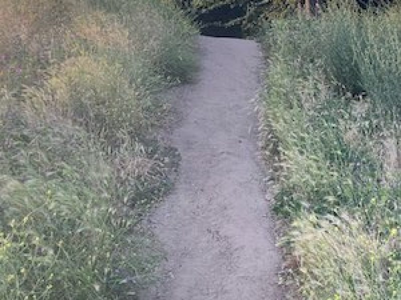 Trail path